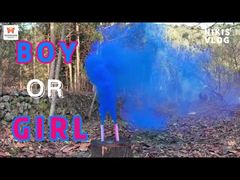 Chinesische Fabrik Tageszeit Hochzeits-Handheld-Farbe Rauchfackel Feuerwerk Party Geschlechtsenthüllung Rauchbomben