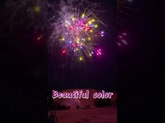 Fabrikangepasste, wunderschöne Farbe 1,4g Verbraucher-Feuerwerk-Batterie-Cake-Feuerwerk-Pyrotechnik