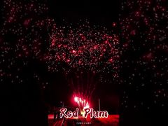 Liuyang Feuerwerksbedarf 56 Schuss Salut Outdoor Cake Batterien Rote Pflaume Feuerwerk Pyrotechnik