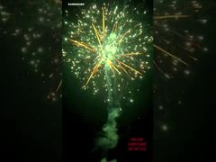 100 Schuss Großhandel Weihnachtsfeuerwerk Hochwertig 1.4G Konsumenten-Batteriefeuerwerk Outdoor