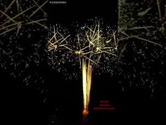 100 Schuss Festival-Batterie Feuerwerk Veranstaltungen Outdoor Professionelle Pyrotechnik 1.3G Feuerwerk