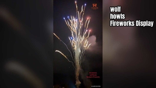 Chinesische Fabrik Custom 100 Schuss Wolf Howl Cake Feuerwerk Großhandel Pyrotechnik