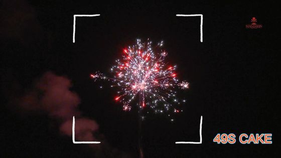 Chinese Liuyang 49 Schuss-Verbraucher-Kuchen-Feuerwerke 2022