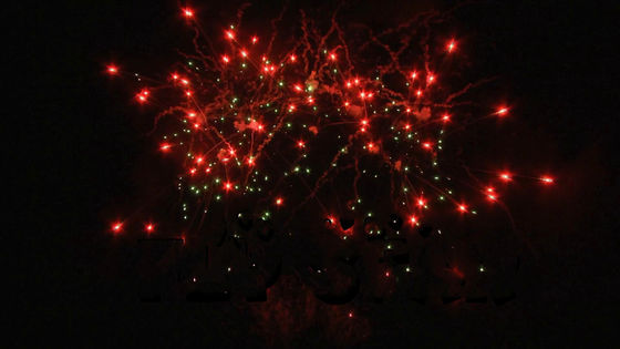 Chinesisches Großhandelsfeuerwerk Verbraucherkuchen Feuerwerk kundenspezifisch 25 Schüsse 500G Pyrotechnik