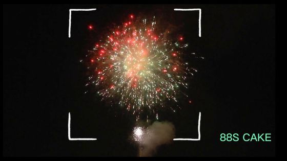 Mandarine fertigte Schuss-pyrotechnischen chinesischen Gruß neues Jahr-Feuerwerke Petard-88 besonders an