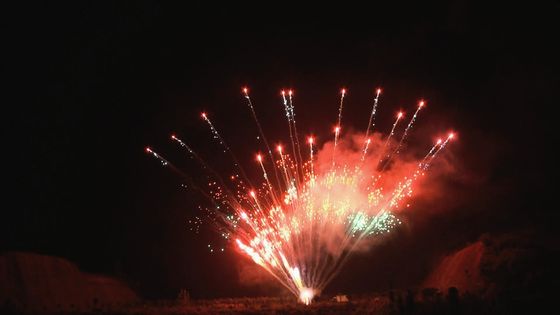 Die chinesische besonders angefertigte Pyrotechnik zeigen Berufsschuß der kuchen-Feuerwerks-1.3g 100 an