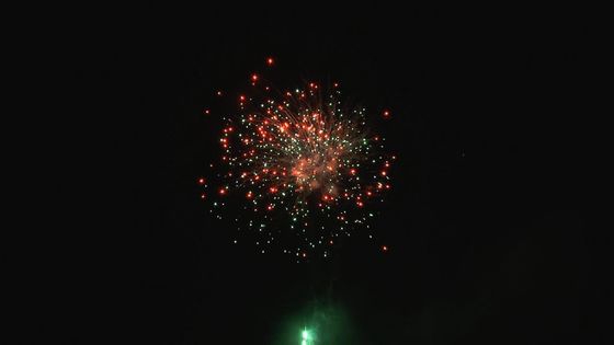 Weihnachtsfest-Berufskuchen-Feuerwerks-im Freien kundengerechte 49 Schüsse