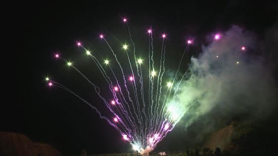 Schuss-Weihnachtsfest-Kuchen-Feuerwerks-Fachmann der Mandarinen-100 im Freien