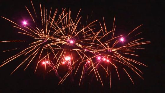 20 Schuss-Feier-Kuchen-Pyrotechnik im Freien fächerförmiges kundengebundenes 1.4g