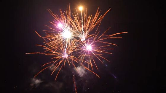 Hochwertiges Exportkuchen Feuerwerk Pyrotechnik 21 Schüsse Gute Effekte Freiluftwerk Kuchen zum Feiern