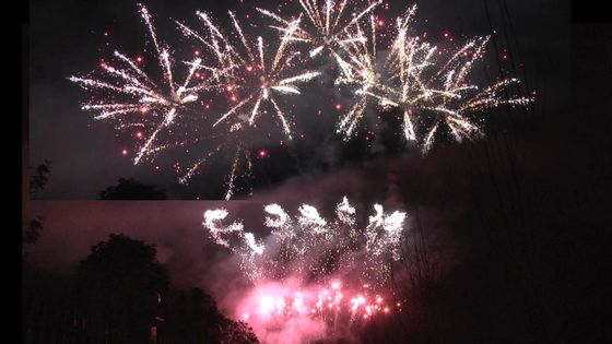 Liuyang Feuerwerk 1.3g Un0335 Pyrotechnik 56 Schüsse professionelle Ausstellung Feuerwerk 1.3g Für die Feier des Festivals