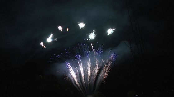 Mandarine zeigen 90 Schüsse begrüßen Pyrotechnik-Berufskuchen-Feuerwerke für Partei an