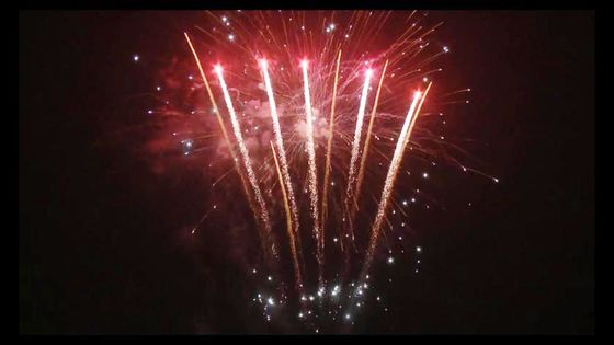 98 Schuss-neues Jahr Petard-pyrotechnische Verbraucher-Kuchen-Feuerwerke fertigten besonders an