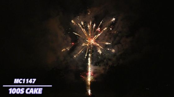 Liuyang-Spezialeffekt-Berufskuchen-Feuerwerks-Pyrotechnik 100 Schüsse