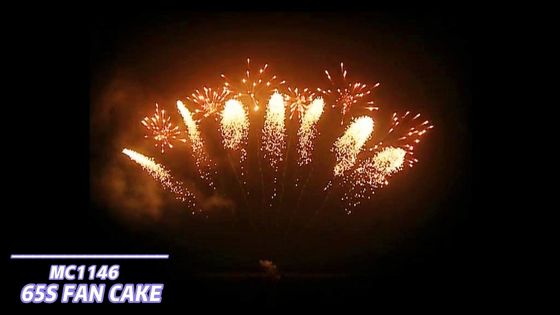 Mandarinen-Feuerwerks-Pyrotechnik 65 Schuss-fächerförmige Feuerwerke