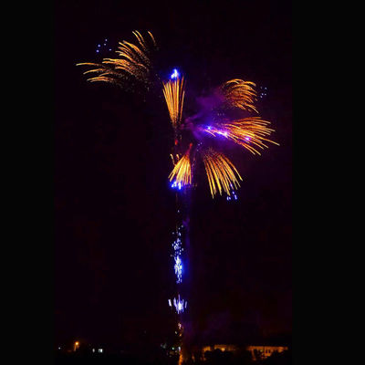 352 Schüsse kundengebundene neues Jahr-Feuerwerks-pyrotechnische große Kracher backen Kracher für Feier zusammen