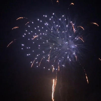 Chinesische 25 Schüsse Kuchen Feuerwerk Pyrotechnik zum Feiern