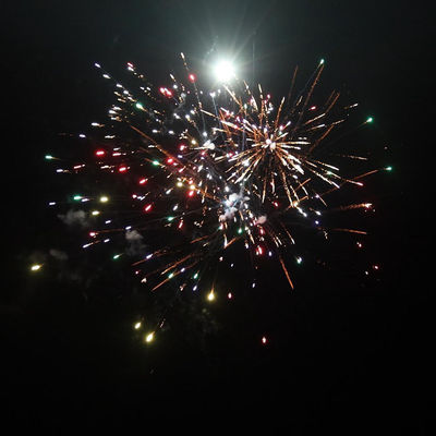 China Pyrotechnik im Freien Kuchen Feuerwerk 49 Schüsse