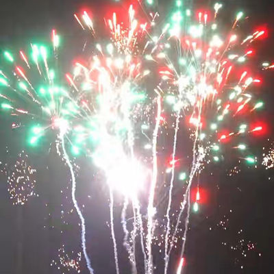 Großhandel Heulen Wolf Pyrotechnik Kuchen Feuerwerk 2024 guter Preis Outdoor-Verbraucherprodukte aus der chinesischen Fabrik