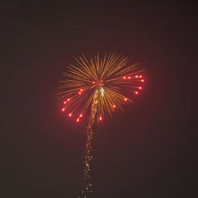 Mandarin Professional 1.3g Pyrotechnik Feuerwerkskörper Artillerie Salute Shell Kanister 4 Zoll Anzeige Granaten Feuerwerkskörper
