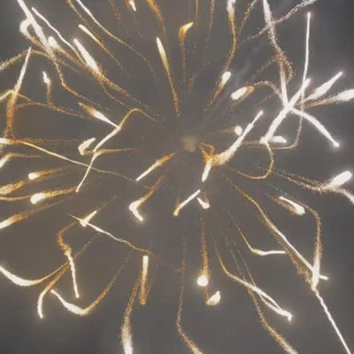 Chinesische Profi-Anzeige Feuerwerk Mörser-Artillerie Schalen Pyrotechnik-Versorgung 6 Zoll Anzeige Schalen 2024