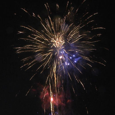 Chinesische Fabrik 100 Schüsse Kuchenfeuerwerk Pyrotechnik zum Neujahrsfeuerwerk 1,3 g Un0335 professionelles Kuchenfeuerwerk