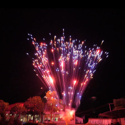 Feuerwerk Pyrotechnik Chinesische Fabrik 1,2 Zoll 24 Schüsse Kuchen Feuerwerk für die Feier 1.4g Un0336 Pyrotechnik