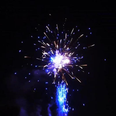 Großhandel China Pyrotechnik Neue 1.4 Pro Line Feuerwerk 1000G 300 Schüsse Verbraucherkuchen Weihnachten Neujahr Großfeuerwerk Kuchen Feuerwerk & Feuerwerkskörper