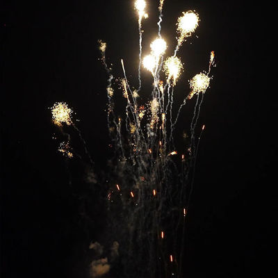 Chinesische 1.4 Pro Line Feuerwerk Mandarin 210 Schüsse 1000g Kuchen Pyrotechnik für den US-Markt