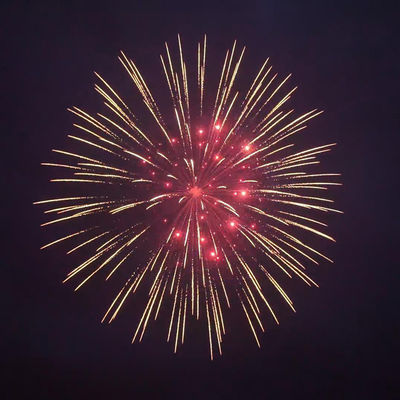 Mandarin-Feuerwerk 2025 chinesische Fabrik Liuyang Pyrotechnik-Anzeige Schalen Feuerwerk 8 Zoll 1,3G professionelle Schalen Feuerwerk