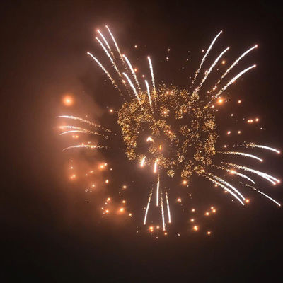 4 Zoll-Display Schalen Feuerwerk für professionelle Displays Liuyang Versorgung in Mandarin Märkten