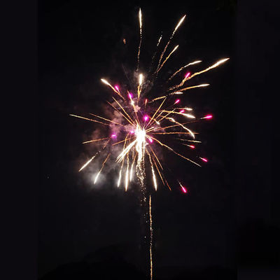 Chinesische Fabrik Billigpreis Feuerwerk Liuyang 100 Schüsse 1.4G Verbraucherkuchen Feuerwerk Import von Feuerwerk aus China