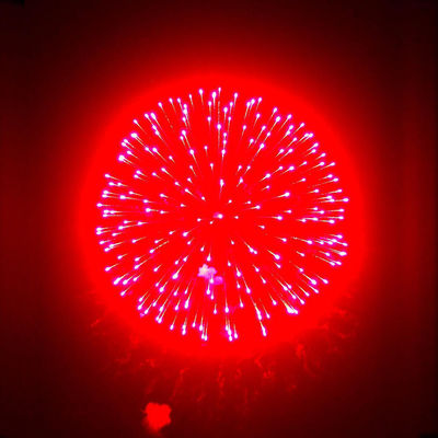 Chinese Factory Fireworks Lieferant 1.3G Professionelles Feuerwerk für Neujahrsfeier 6 Zoll Display Schalen Feuerwerk