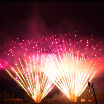 Liuyang Mandarin Riesige Pyrotechnik 0,8 Zoll 300 Schuss Goldene Weide Lila Perlen 1,3g Un0335 Professionelle Große Feuerwerksbatterie