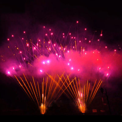 Chinesisches Mandarin Feuerwerk im Freien 1.3g Pyrotechnik 0.8'' 300 Schüsse Größtes Feuerwerk professionelle Anzeige Feuerwerk Kuchen