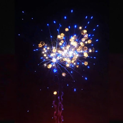 Chinesische Fabrik 1.4g eigene Feuerwerkskörper Liuyang 1,2' Zoll niedliches Chrysanthemum Neue Verbraucherkuchen Feuerwerkskörper Hochzeit Pyrotechnik