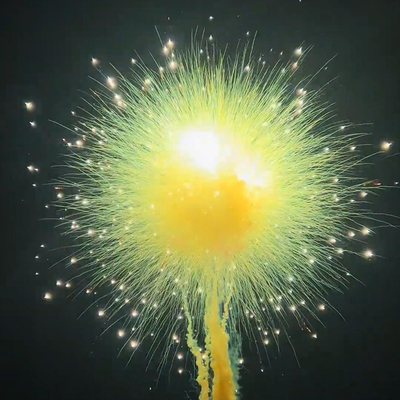 Chinesische Fabrik Großhandel Farbenfrohe Rauchfeuerwerk Tagesfeuerwerk Hochzeitsfest Rauchfeuerwerk Kuchenfeuerwerk Pyrotechnik