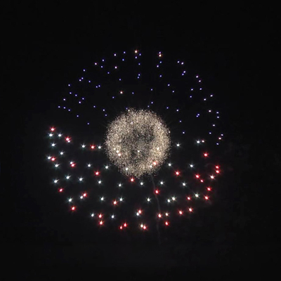 Liuyang Mandarin Feuerwerk 1.3g Profi Ball Pyrotechnik Feuerwerk Fabrik 6 Zoll Display Schalen Feuerwerk zum Verkauf