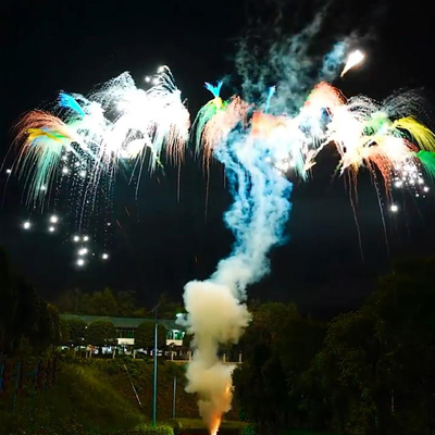 Liuyang Mandarin Feuerwerk Batterie Tageskuchen Feuerwerk Hochzeitsfeier Festival Billiges Preis Rauch Feuerwerk Kuchen Pyrotechnik