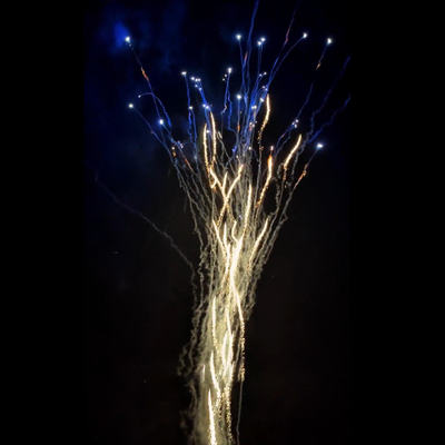China Großhandel Pyrotechnik Neujahr Wolf Heulen und Blaue Dahlia Kuchen Feuerwerk Weihnachtsfeuerwerk Kuchen