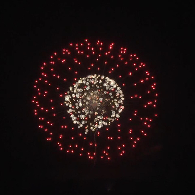 Fabrikneues Jahr Professionelle 1.3g Feuerwerk 2