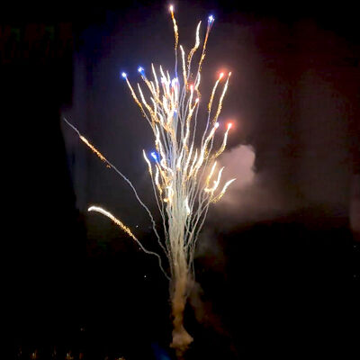 Chinesische Fabrik Custom 100 Schüsse Wolf Heulen Kuchen Feuerwerk Großhandel Pyrotechnik Neues Feuerwerk für Neujahr Weihnachten Hochzeitsfeier