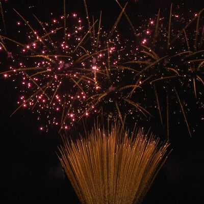 1,2 Zoll 100 Schuss Cake Feuerwerk 1.3G Professionelle UN0335 Zertifizierte Pyrotechnik für Feiern im Freien