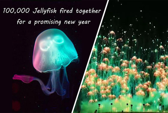 Neues Jahr-Toy Firework Jellyfish Consumer Novelty-Feuerwerke Skyshots pyrotechnisch